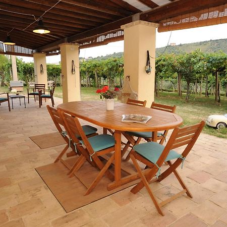 B&B Conca Del Pretore Loreto Aprutino Exterior photo